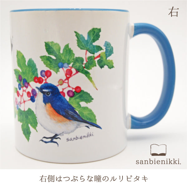 sanbienikki. サンビエニッキ バイカラ-マグカップ ノブドウとルリビタキ ホワイト/ブルー 自分へのご褒美に♪ ノブドウ ルリビタキ バイカラー マグカップ 上品 可愛い 癒し 小鳥 青