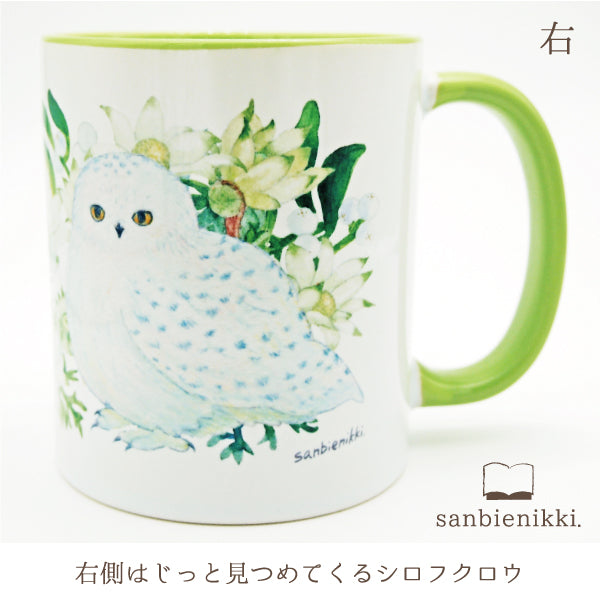 sanbienikki. サンビエニッキ バイカラ-マグカップ フランネルフラワーとシロフクロウ ホワイト/ライトグリーン 自分へのご褒美に♪ フランネルフラワー シロフクロウ ヤドリギ バイカラー ライトグリーン マグカップ 上品 可愛い 癒し 庭 鳥